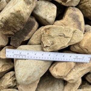 Medium River Rock